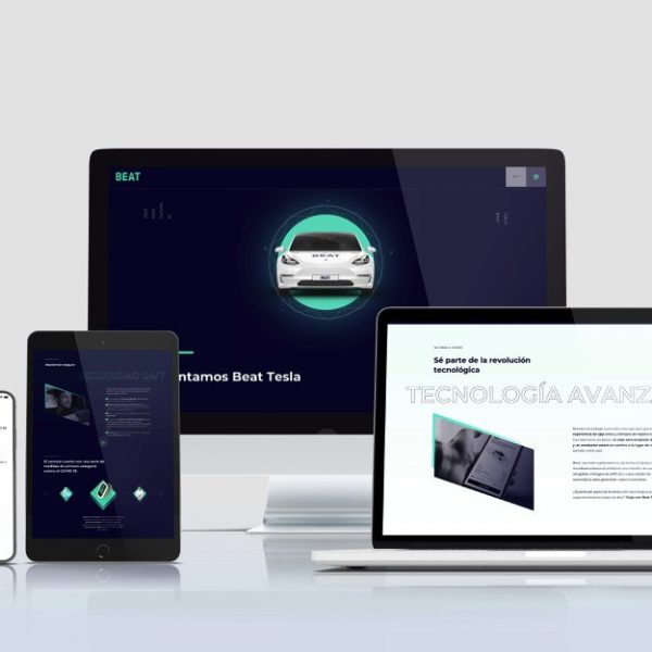 Tesla WebApp